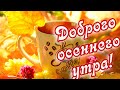 Доброго осеннего утра! ❤️Осень -  это чудесная пора! ❤️Замечательный  видеоролик!❤️Good morning!❤️