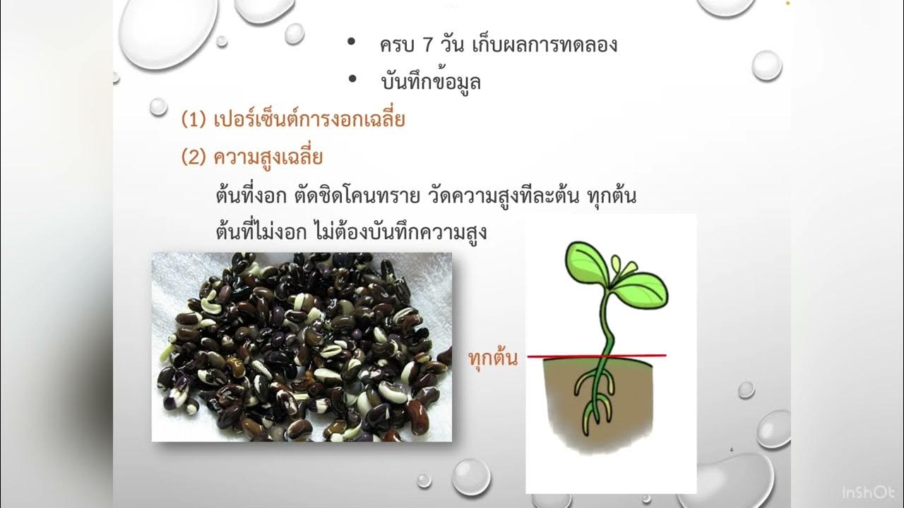 Eco lab 2 - YouTube