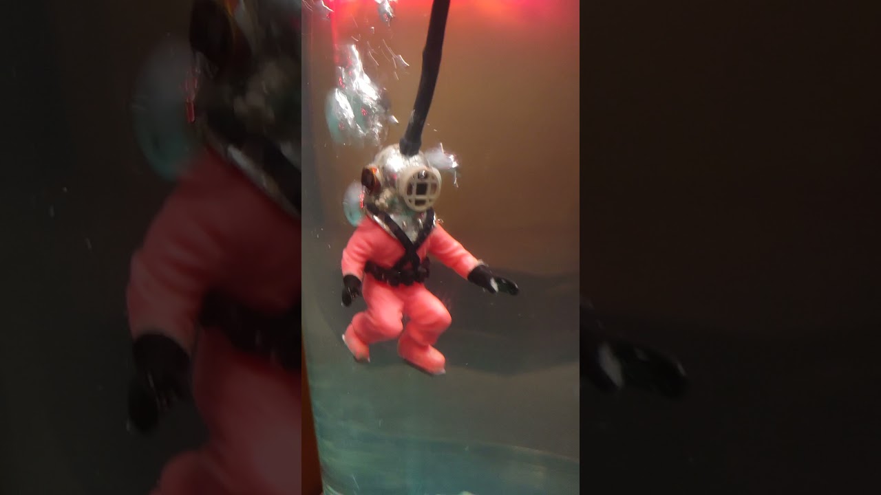 Scuba Diver Experiment | 