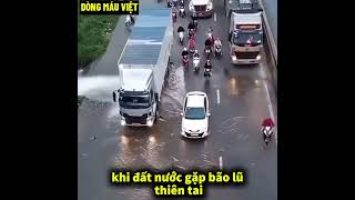 Người Việt Nam ...