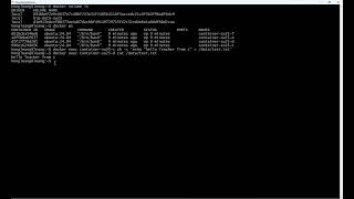 Docker Volume Connect By 4 Containers