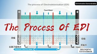The process of Electrodeionisation (EDl)