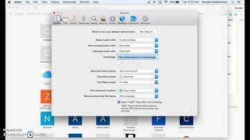 Enable Flash in Safari