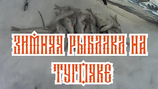 Зимняя рыбалка на тугояке.