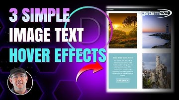 Divi Theme Image Text Hover Effects You Never Knew About 👈👈👈