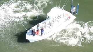 Boat Captain Drives Through Manatees, Then Physically Harasses One and Scares Them