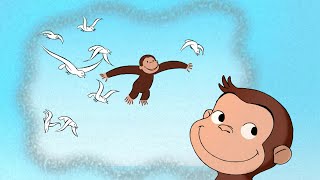 Coco Der Neugierige Affe  Ein Windiger Tag Im Freien  Cartoons Fr Kinder