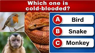 95% Fail This Mind-Blowing Trivia Challenge! 🤯 (Amazing Facts) | QUIZ CORE