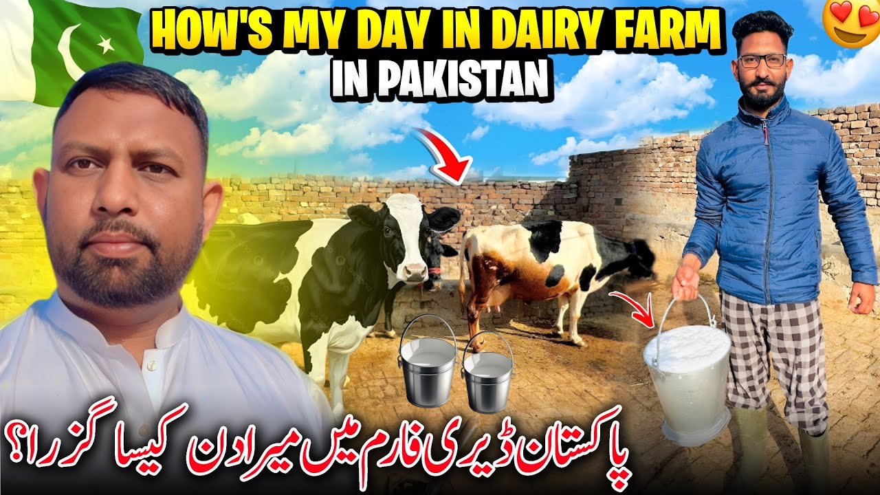 How,s My Day In Dairy Farm In Pakistan 🇵🇰😍 Pakistan Dairy Farm Mai Mera Din Kesa Guzra ? | Family Vg