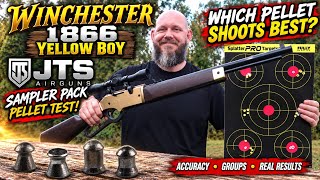 Which JTS Pellet Shoots BEST? | Winchester 1866 Yellow Boy Pellet Test!
