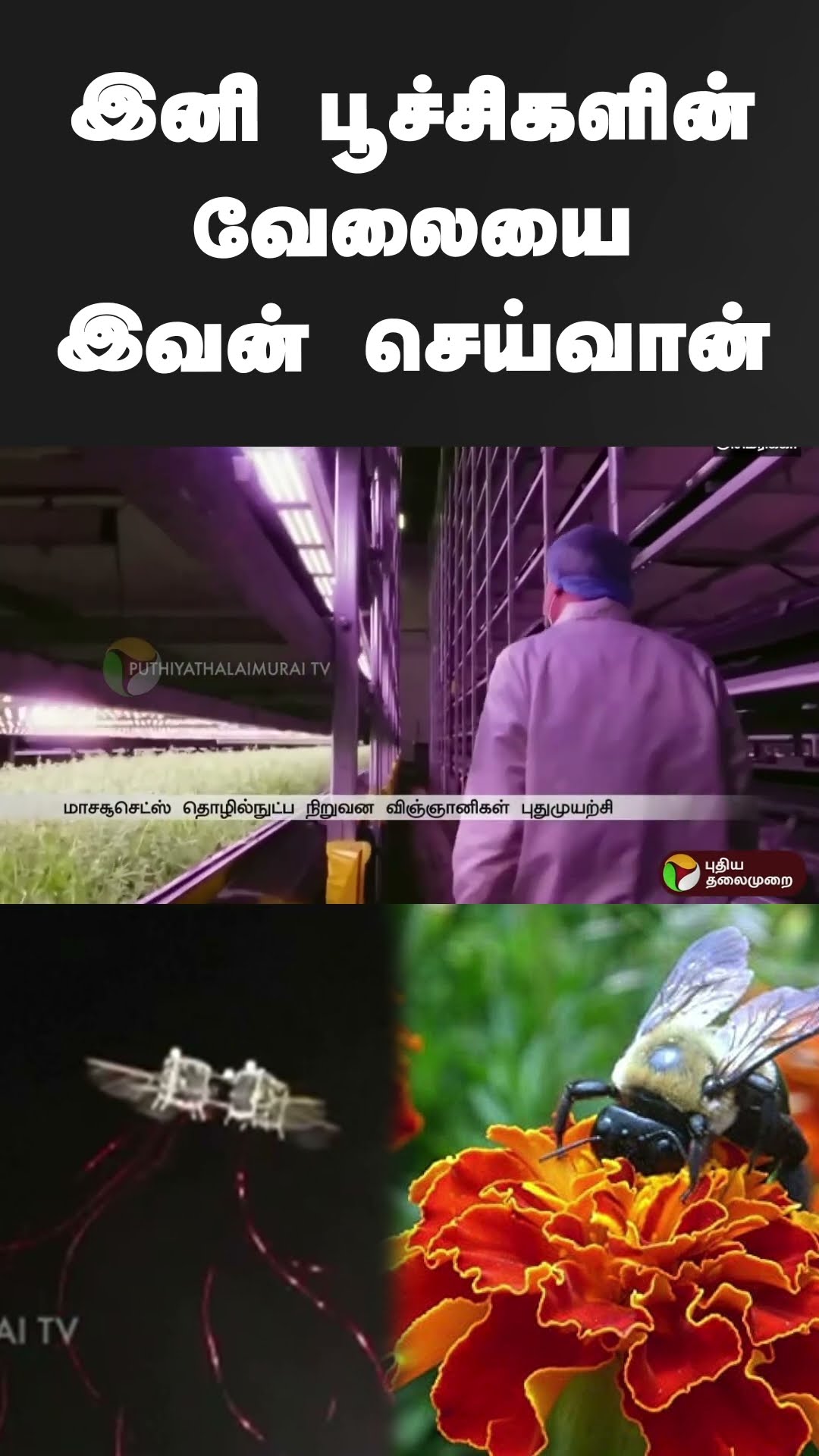 இனி பூச்சிகளின் வேலையை இவன் செய்வான் | #shorts | #robot | #pollination | #insects
