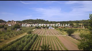 Benvinguts a Forallac, benvinguts al cor de l'Empordà.