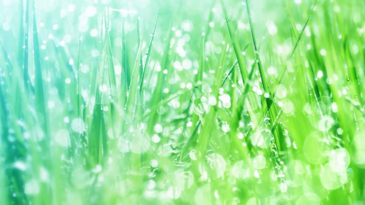 緑の風景 Relaxation Video 8 Youtube