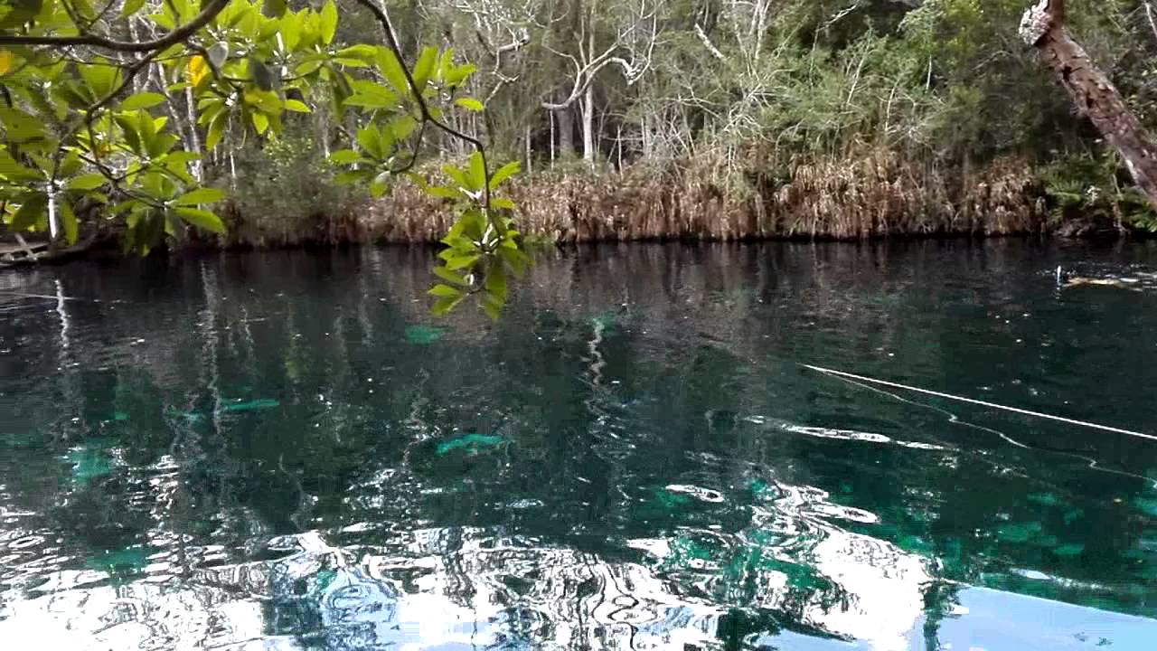 Cenote Car wash, Tulum, Quintana Roo, Mexico YouTube Cenote Car wash, Tulum, Quintana Roo, Mexico YouTube
