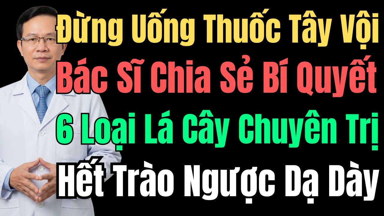6 Lá Cây Chuyên Trị Trào Ngược Dạ Dày Hết Ợ Nóng Không Cần Dùng Thuốc Mà Người Cao Tuổi Cần Biết