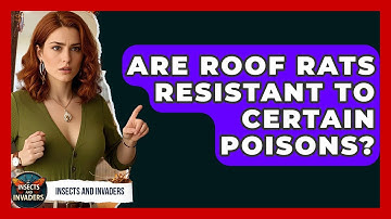 Are Roof Rats Resistant To Certain Poisons? - Insects and Invaders
