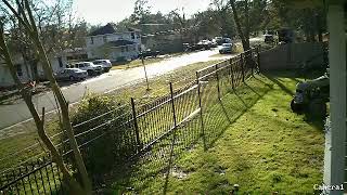 Tree Falls Over in Street Just as Car Passes Under It - 1020819