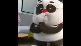 Kumpulan video panda lucu