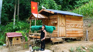 Download Lagu Eerste keer dat ik drakenfruit oogst om op de markt te verkopen, en de tuin in het bos renoveer. MP3 Download Lagu Eerste keer dat ik drakenfruit oogst om op de markt te verkopen, en de tuin in het bos renoveer. MP3