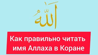 Учимся правильно читать Коран! Правило чтения слова الله: мягкая и твердая буква ل #коран #таджвид