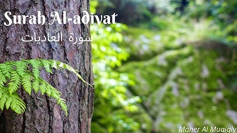 surah adiyat by Maher Al Muaiqly best Quran Listen in the world beautiful voice سورة العاديات