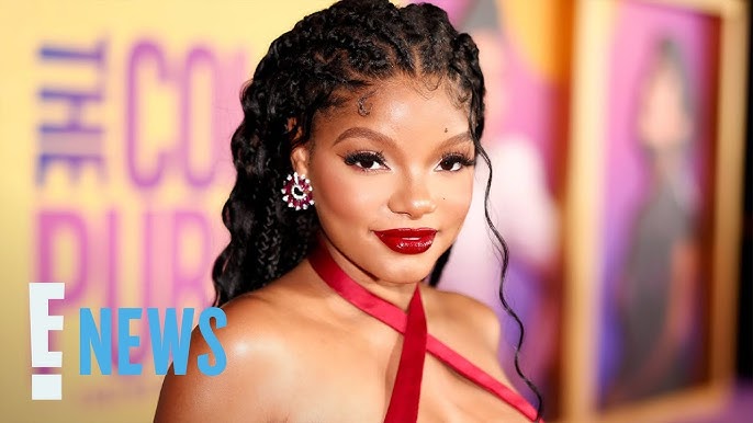 Halle Bailey Claps Back At Haters About Lying Over Her Pregnancy E News