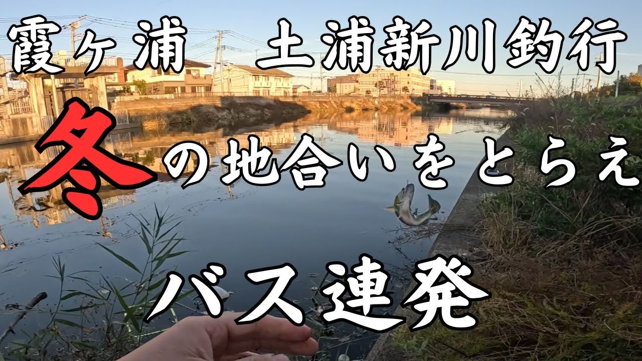 土浦 新川 バス 釣り