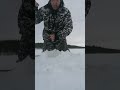 Ловим на жерлицу. Март 2022 Кумжа.