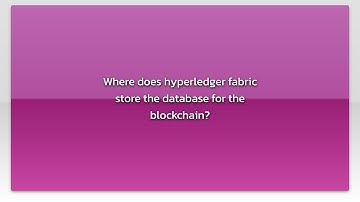 Where does hyperledger fabric store the database for the blockchain?
