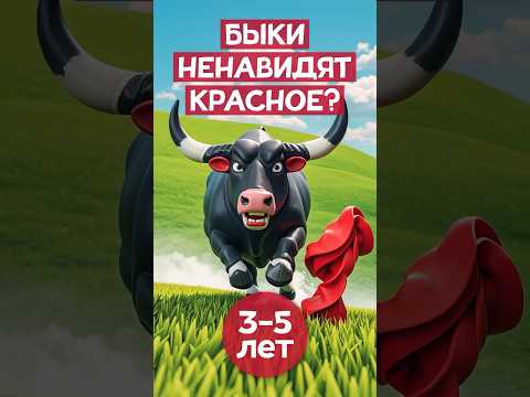 Как красный влияет на быков? #правдаилиложь #быки #длядетей #фактыоживотных #всеобовсем #шортсдети