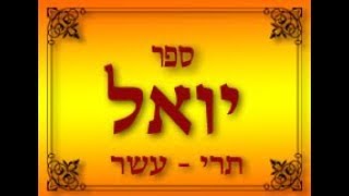 יואל פרק ג תרי עשר