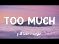 Too Much - Carly Rae Jepsen (Lyrics) 🎵