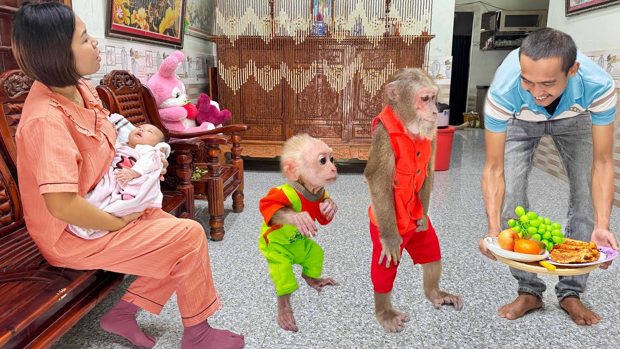 Best moment! CUTIS family excited with Dad's unexpected special care🤩