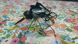 Easy DIY Mosquito Mobile | Mosquito Mobile Balcony Decor | DIY Balcony Decoration