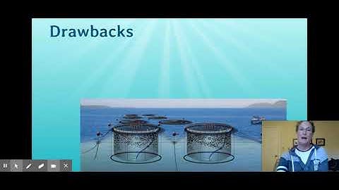 GRIFFITH-PPT 5.16 Aquaculture 2020 - Google Slides