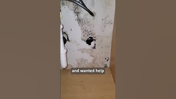 How To Find The Source Of Mold In Your Home - Leak Inspection Behind the Wall Revealed!