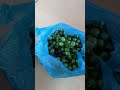 Masak Obat Kuat