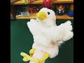 パペット ファンキーチキン パペット ファンキーチキン