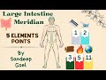 2.Balancing Energy Flow:Exploring the Large Intestine Meridian Points in Harmony with the 5 Elements