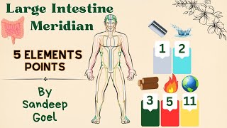 2.Balancing Energy Flow:Exploring the Large Intestine Meridian Points in Harmony with the 5 Elements