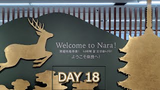 Japan 2023 | Day 18 |  Nara / Ikaruga