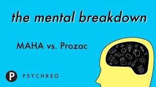 MAHA vs  Prozac