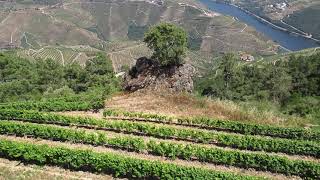 FILME 4. São Leonardo de Galafura. Peso da Régua. Vila Real. Portugal