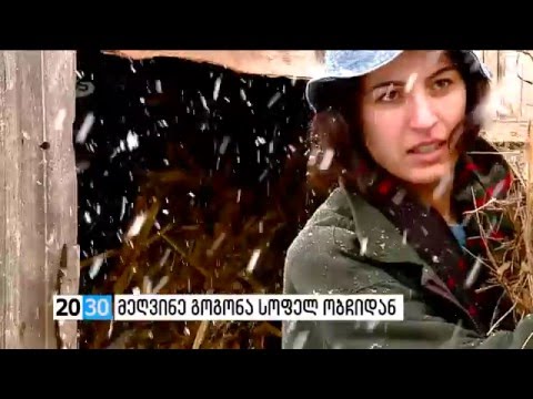 წარმატებული მეღვინე გოგონა სოფელ ობჩიდან