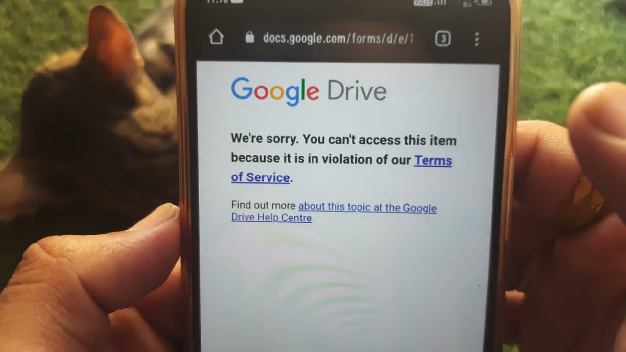 We're sorry you can't access this item because it is in violation of our google drive