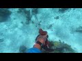 Spearfishing Exuma Bahamas, summer 2018