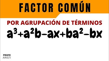 Factor común por agrupación de términos | Ejemplo 1