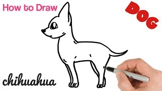 How To Draw Chihuahua Puppy Easy Drawings For Beginners Youtube