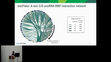 snoFlake: Discovery of a snoRNA-guided splicing... - Kristina Sungeun Song - iRNA - ISMB 2024