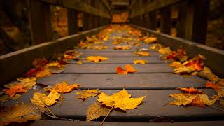 Eric Clapton - Autumn Leaves